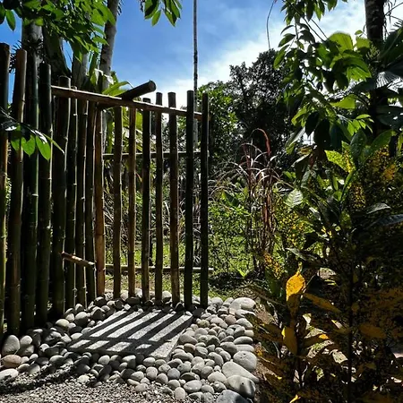 Whispering Wisdom Villa Cahuita Exterior photo